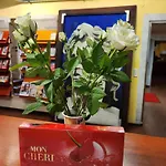 Alex 30 斯图加特