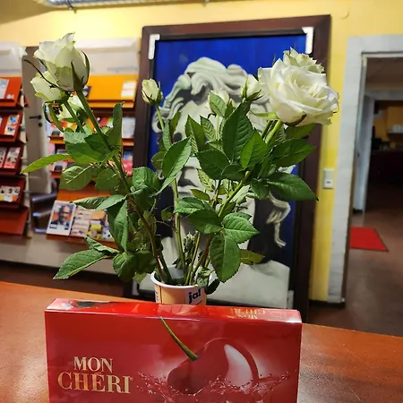 Alex 30 شتوتغارت